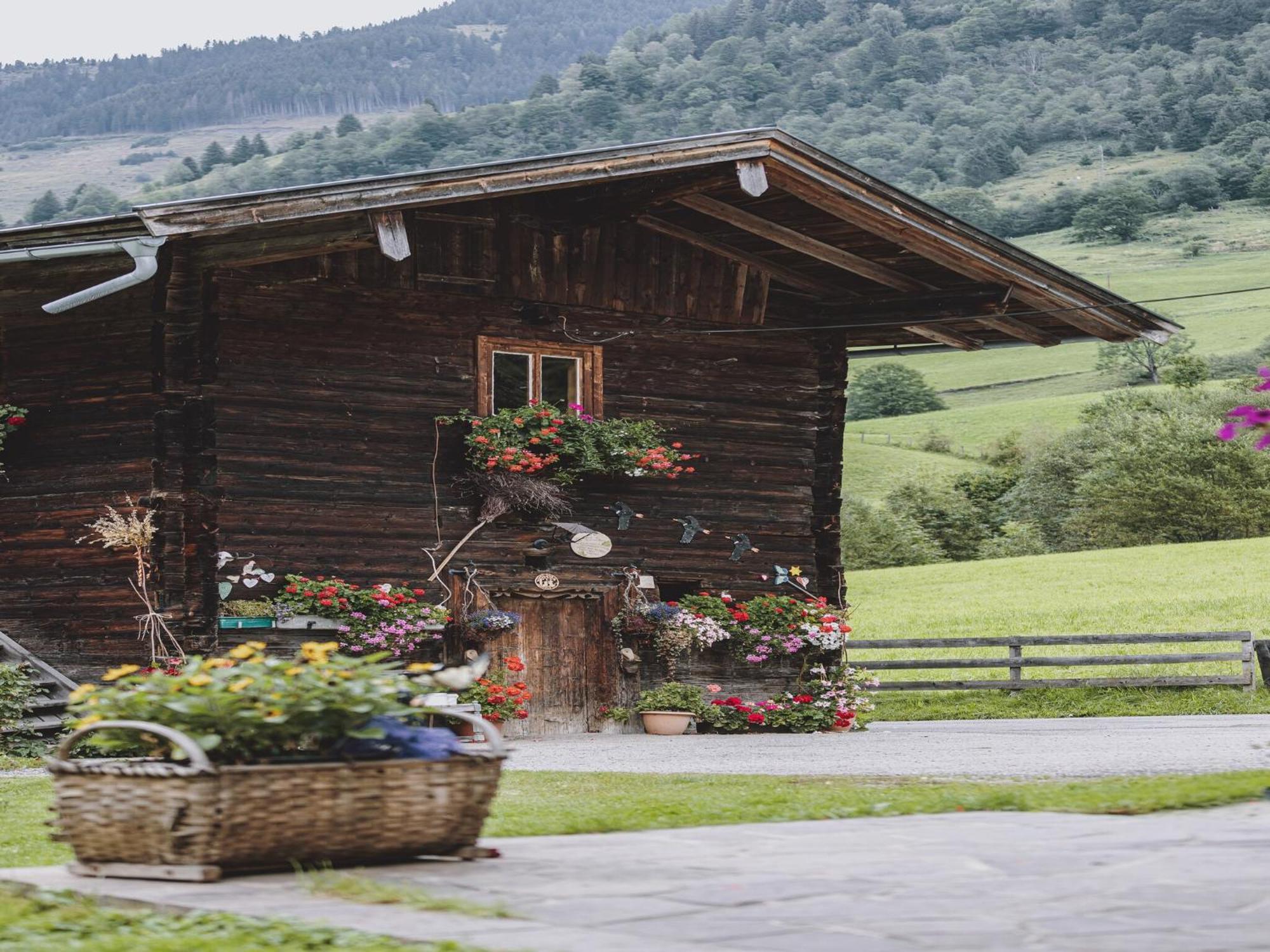 Holiday Home Fusch An Der Glocknerstra E Fusch an der Grossglocknerstrasse Esterno foto